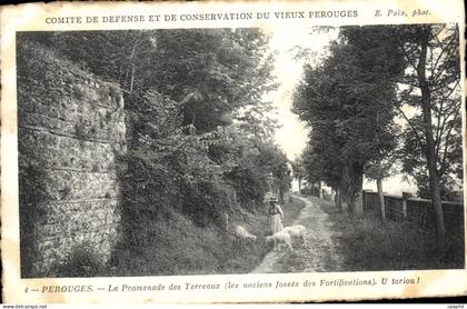 CPA Comite de defense et de Conservation du Vieux Perouges Perouges La Promenade des Terreaux les an