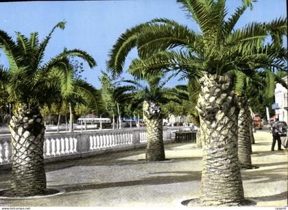 CPM Perpignan Le Palmarium