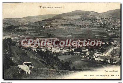 CPA Plainfaing Vosges Vue Generale
