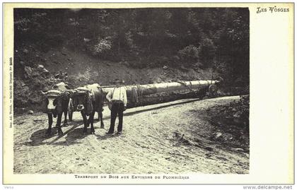 Carte Postale Ancienne de PLOMBIERES les BAINS