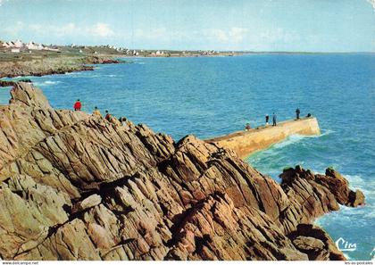 29 PLOUHINEC LA DIGUE