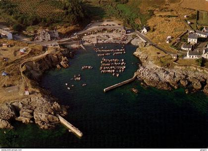 N°24231 W -cpsm Plouhinec Plozevet