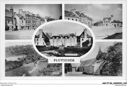 AGCP7-56-0610 - PLUVIGNER