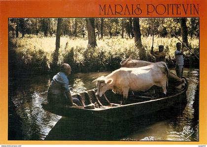 CPM Marais Poitevin