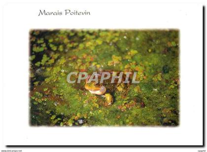 CPM Marais Poitevin Deux Sevres