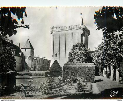 CPM Pons (Chte Mme) Le Donjon et les Jardins