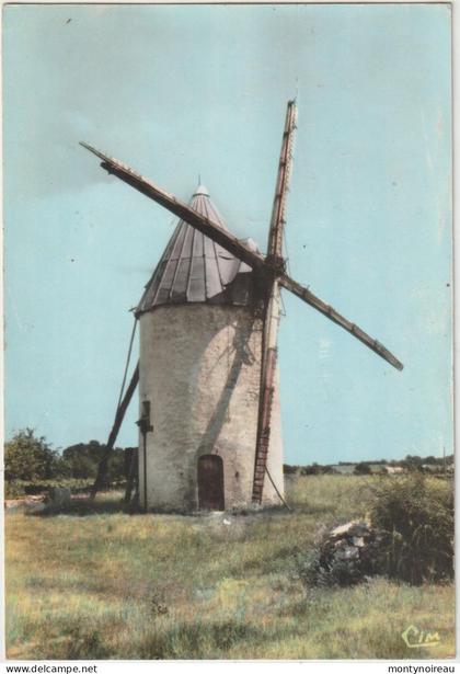 Charente  Maritime :  PONT L ' ABBE D ' Arnoult : le  moulin  du  fort