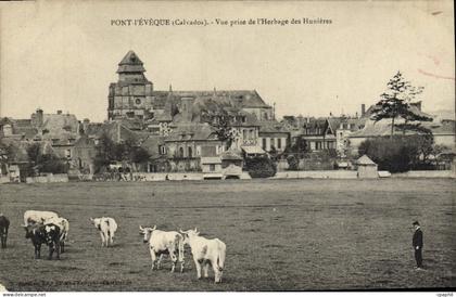 CPA Pont L'Eveque Vue prise de l'herbage des Hunieres Vaches