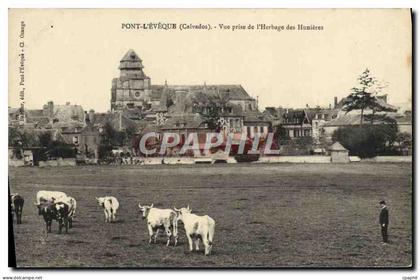 CPA Pont L'Eveque vue prise de l'herbage des hunieres Vaches