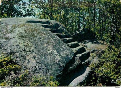 Carte Postale - 23 - Pontarion - Sur la colline de Martineiche la pierre aux neuf gradins - CPM - Voir Scans Recto-Verso
