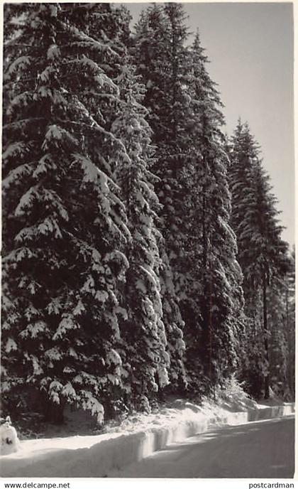 France - PONTARLIER (25) Carte Photo Stainacre
