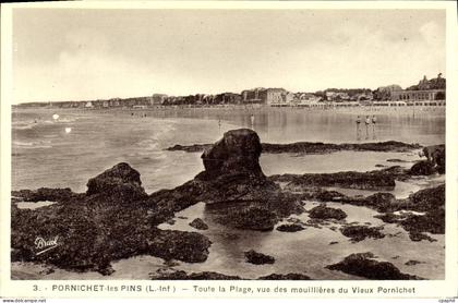 CPA Pornichet les Pins Toute La Plage Vue Des Mouillieres Du Vieux Pornichet