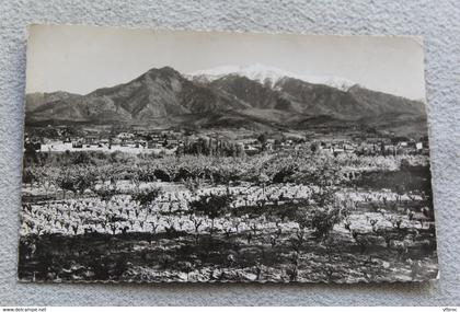 H664, Cpsm 1959, Prades, vue générale et le Canigou, Pyrénées orientales 66
