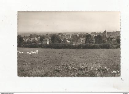 PREVERANGES (CHER) CARTE PHOTO VUE GENERALE (EGLISE CHATEAU HABITATIONS)