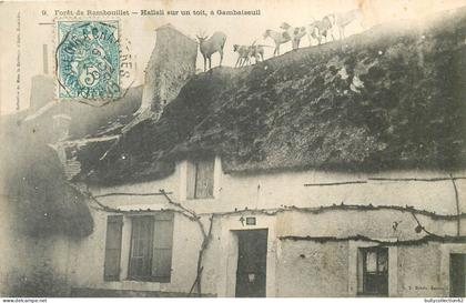 CPA Rambouillet 78/404