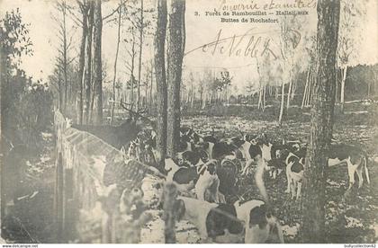 CPA Rambouillet 78/405