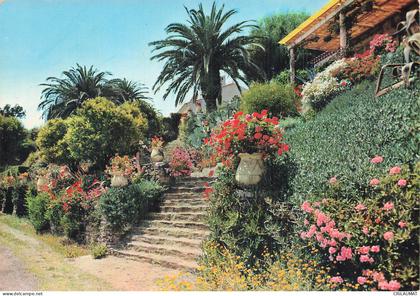 83 LE RAYOL CANADEL SUR MER ESCALIER HENRI