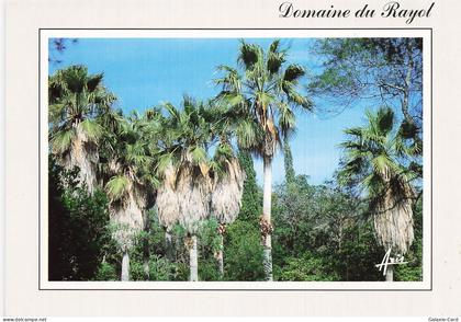 83 LE RAYOL CANADEL SUR MER LE DOMAINE DU RAYOL