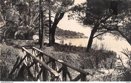 PIE.Tpat-19-3214 : LE RAYOL.