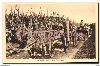CPA Riquewihr Les Vendanges
