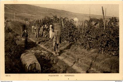 Riquewihr - Vendanges - Wein