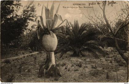 CPA RIVESALTES Vue exotique du Parc Monplaisir (680881)