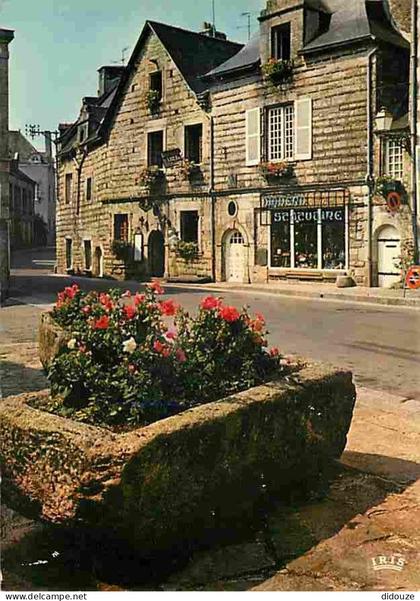 56 - Rochefort en Terre - Place du Puits - Fleurs - Flamme Postale - CPM - Voir Scans Recto-Verso
