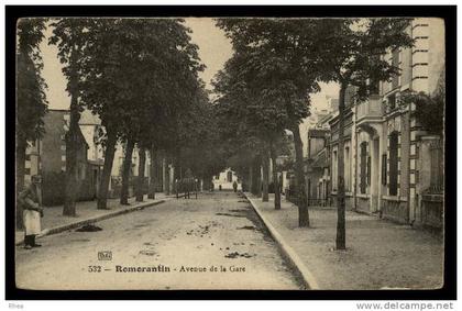41 Romorantin-Lanthenay allee arbre