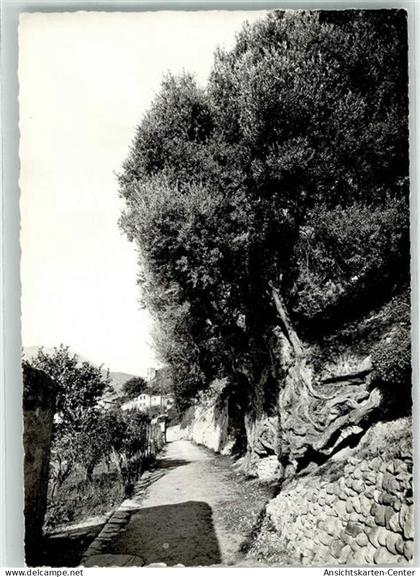 39754129 - Roquebrune-Cap-Martin