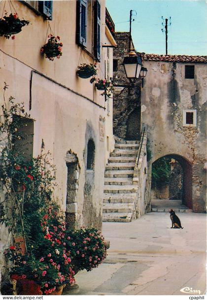 CPM Roquebrune Cap Martin Alp M Dans le vieux village