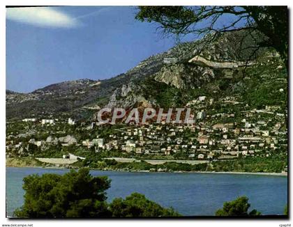 CPM Roquebrune Cap Martin Vue generale et l'hotel Restaurant Vistaero