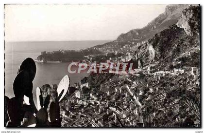 CPM Roquebrune Cap Martin Vue Generale Monte Carlo et le rocher de Monaco