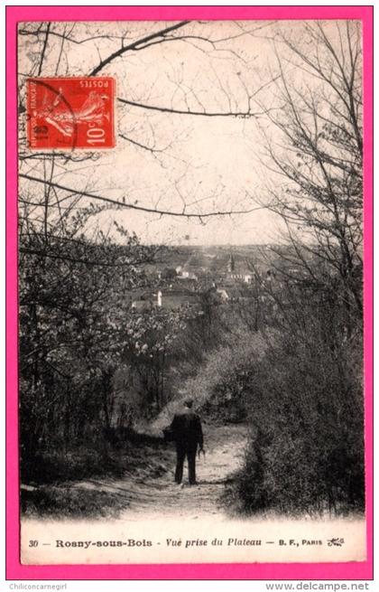 Rosny sous Bois - Vue prise du Plateau - Animée - B.F. - 1916