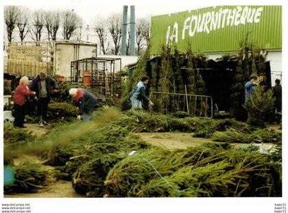 Rungis - Michel Dussart