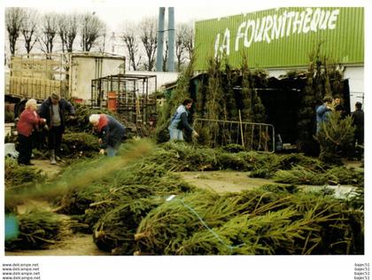 Rungis - Michel Dussart