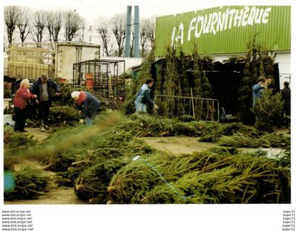 Rungis - Michel Dussart