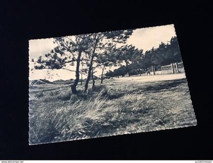 44  Saint-Brévin-L' Océan   Le Boulevard de la Mer