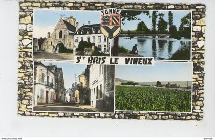 SAINT BRIS LE VINEUX - Vues multiples