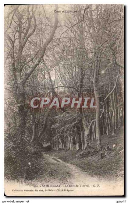 CPA Saint Cast Le Bois de Vieuvil