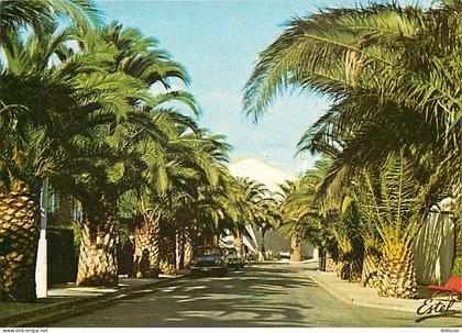 Carte Postale - 66 - Saint Cyprien - Les palmiers - CPM - Voir Scans Recto-Verso - Poscard - Carta Postal -  Postkarte