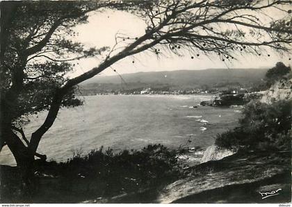 83 - Saint Cyr sur Mer - Vue des Lecques prise de la Madrague - Mention Photographie véritable - CPSM grand format - Voi
