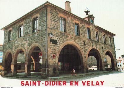 43 SAINT DIDIER EN VELAY LES HALLES
