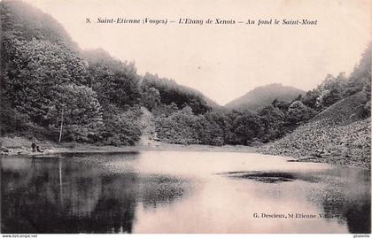 88 -  SAINT ETIENNE lez REMIREMONT - l'étang de Xenois