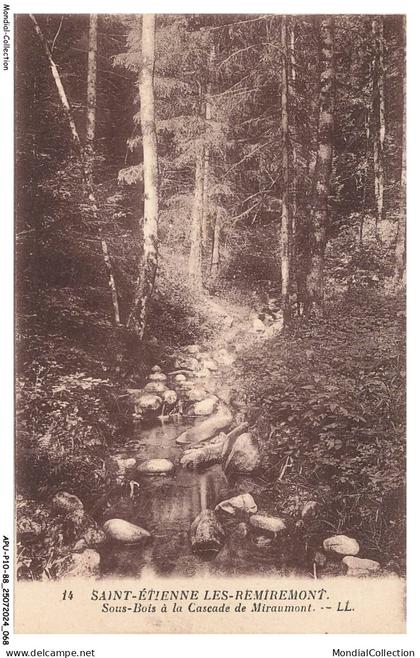 APUP10-0608-88 - SAINT-ETIENNE-DE-REMIREMONT - sousbois à la cascade de miraumont
