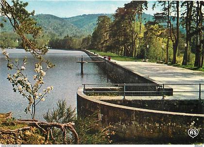 31 - Saint Ferreol - CPM - Voir Scans Recto-Verso