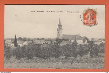 D85 - SAINT FLORENT DES BOIS - VUE GÉNÉRALE