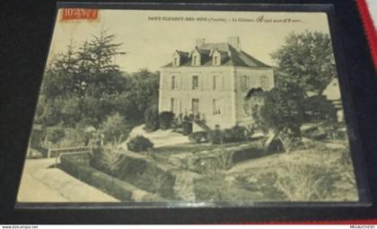 SAINT -FLORENT -DES-BOIS *- le château