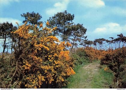 44 SAINT HERBLAIN BRETAGNE