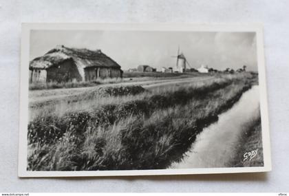 AB79, Cpsm, Saint Jean de Monts, les marais, Vendée 85