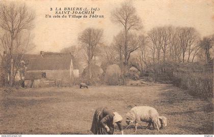 SAINT JOACHIM     VILLAGE DE FEDRUN